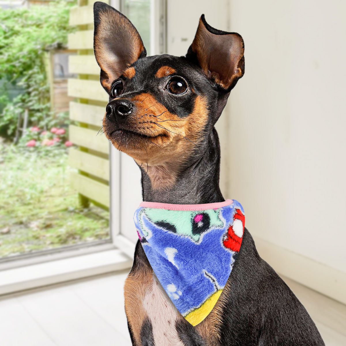 Pashmina para Mascotas con Diseño de Perritos, color Azul