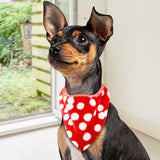 Pashmina para Mascotas, color Rojo con Blanco