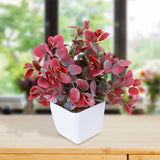Maceta Decorativa con Eucalipto Artificial, color Verde con Rojo