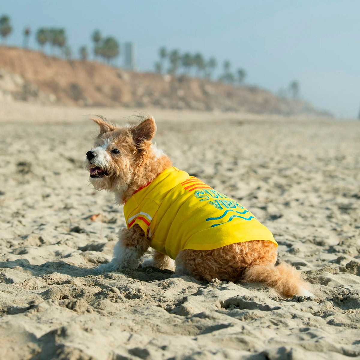 Camiseta Sunny Vibes para Perro, Talla XS, Vibrant Life