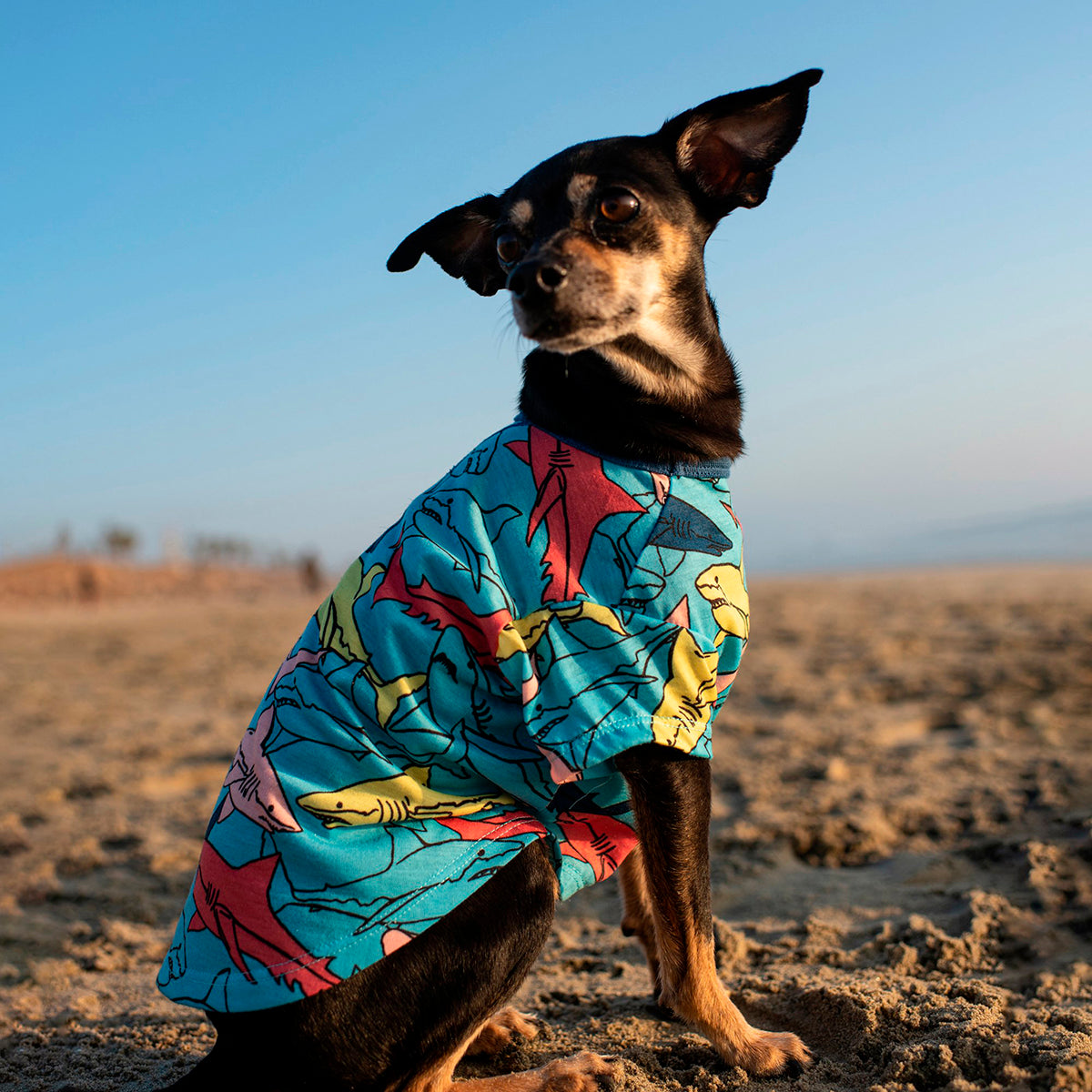 Camiseta de Tiburones para Perro, Talla XXS, Vibrant Life