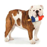 Juguete para Perros Cool Pup Rocket Pop Ice Cream Popsicle