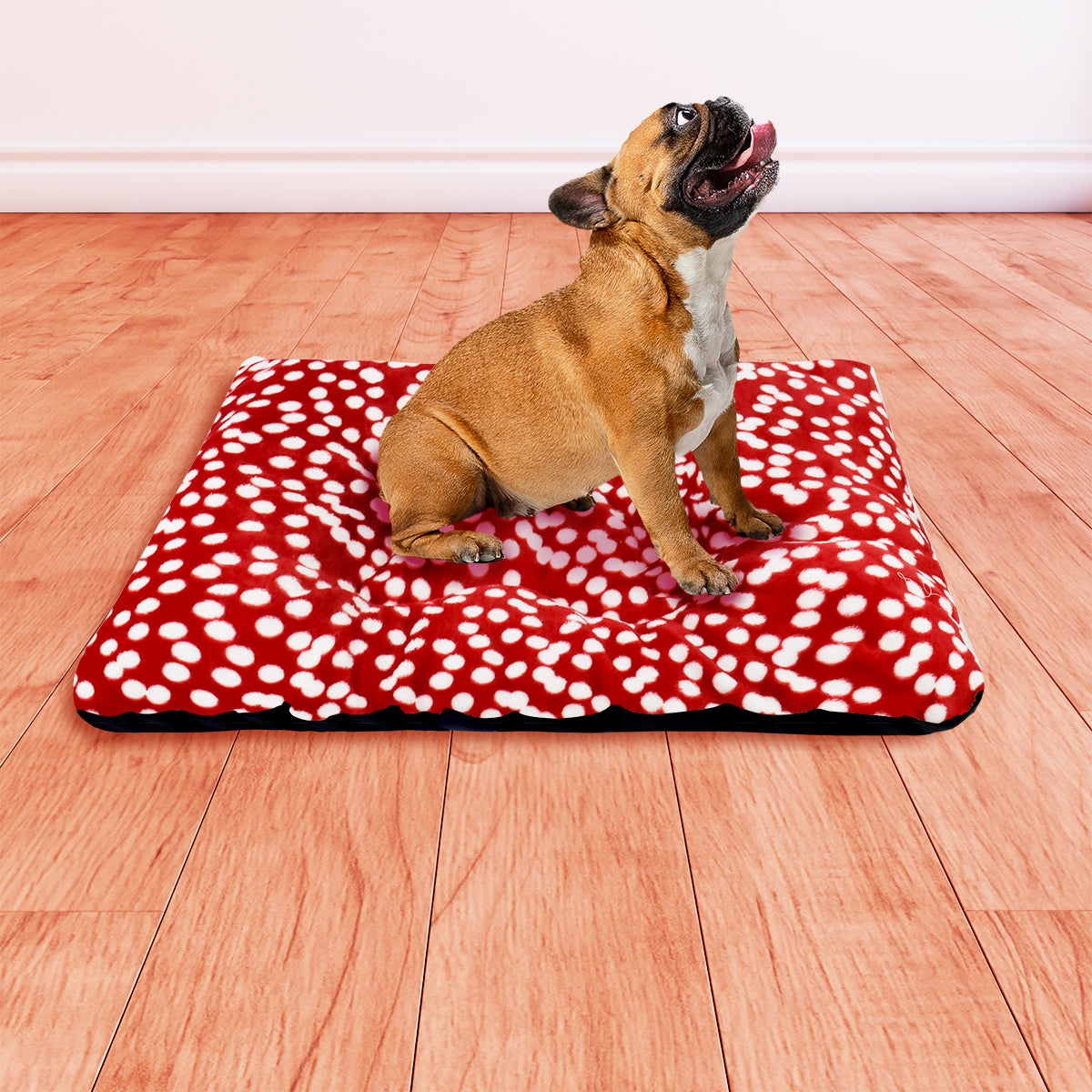 Cama con Estampado de Puntos para Mascota, color Rojo, 75x55cm