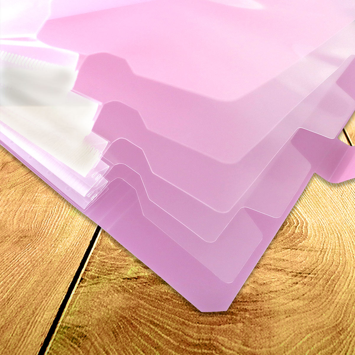 Organizador de Documentos, color Rosa, 22x18cm