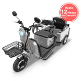 Kiwo, Triciclo Eléctrico para Pasajeros color Gris, Modelo BTY003