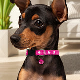 Collar color Rosa con Cascabel para Perro