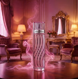 Perfume Paris Hilton Women Eau De Parfum, 30 ml