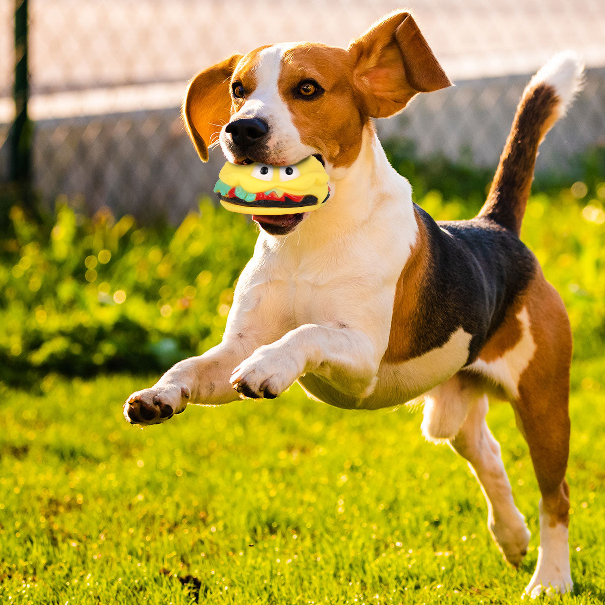 Juguete en Forma de Hamburguesa para Mascota