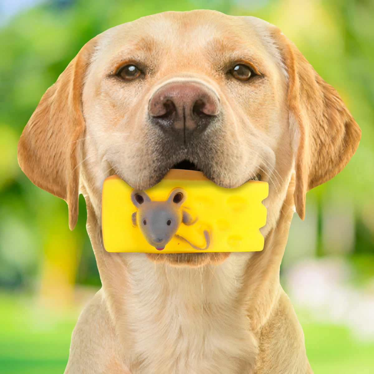 Juguete con Diseño de Queso para Mascota