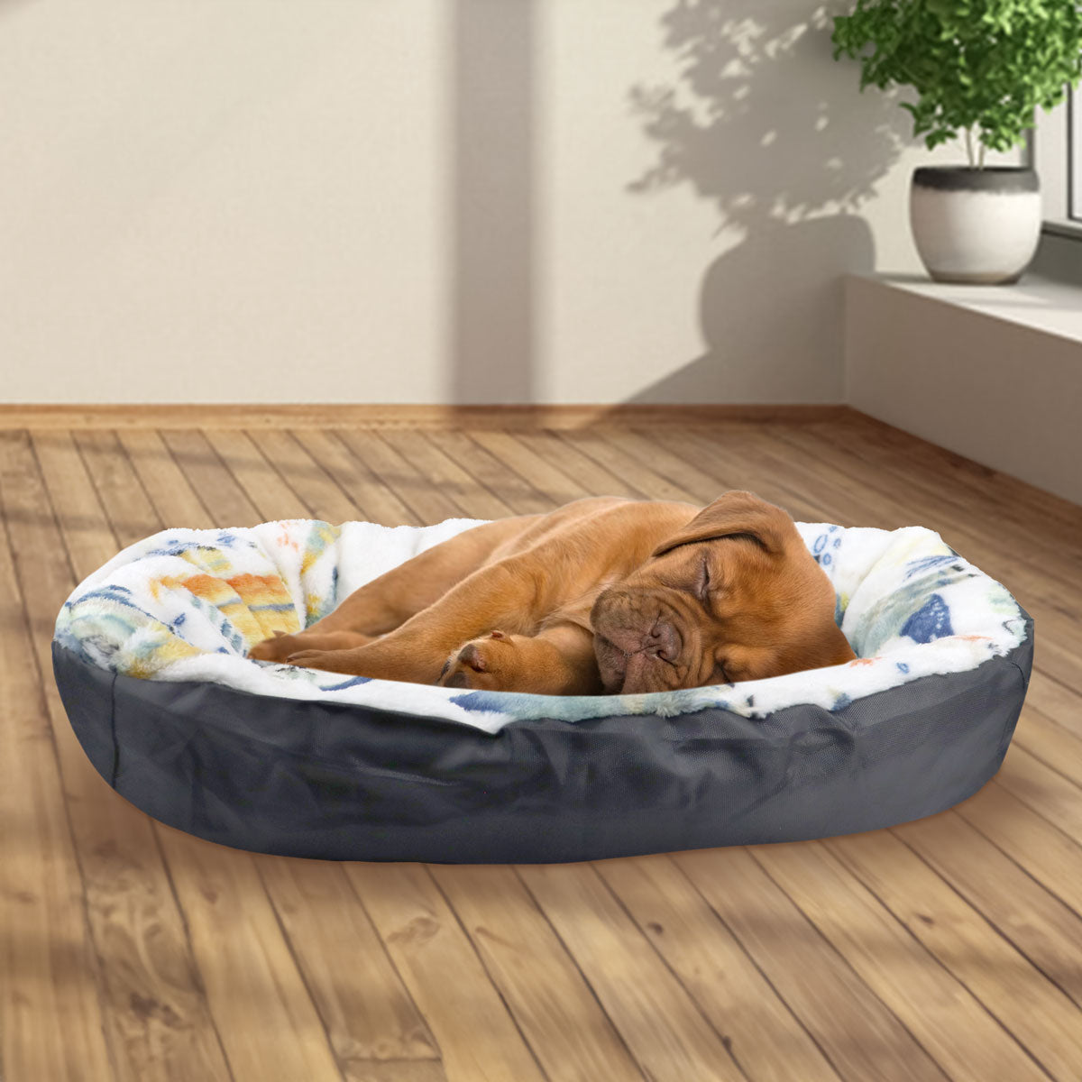 Cama para Mascota, Diseño Dinosaurios