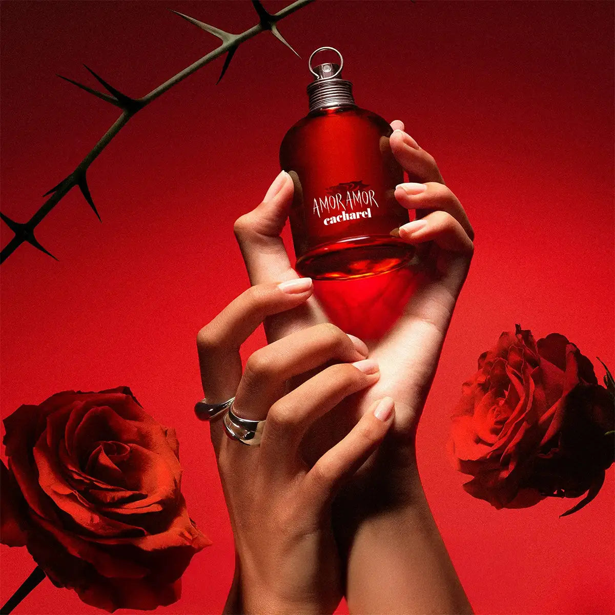 Perfume Amor Amor de Cacharel Eau de Toilette, 100 ml