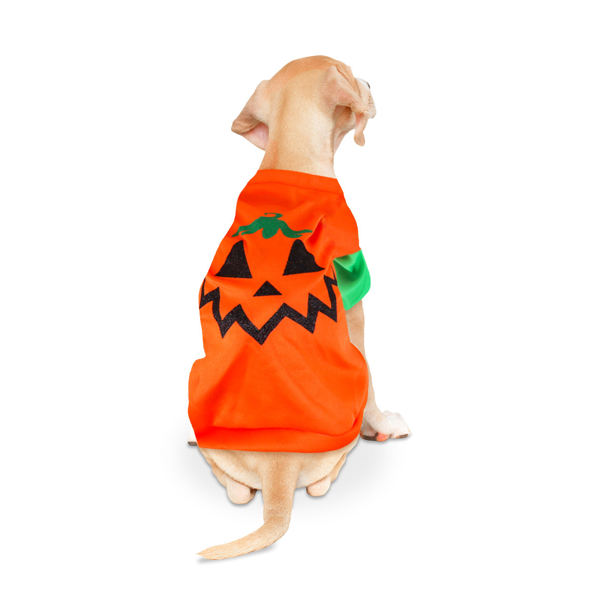 Disfraz con Diseño de Calabaza para Mascota, Talla G