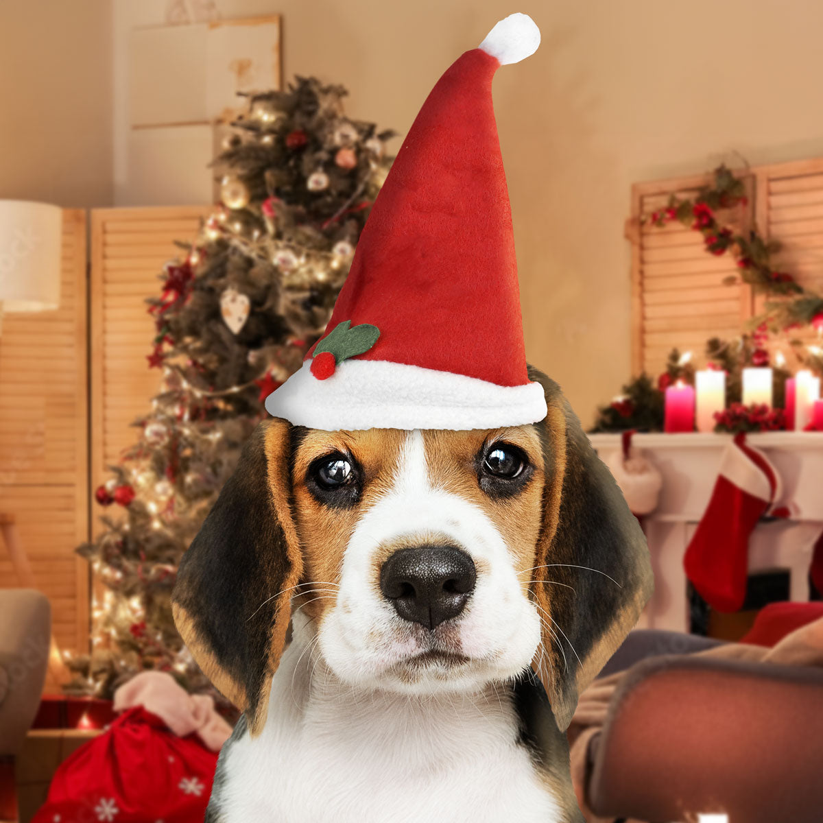 Gorro con Diseño de Santa Claus para Mascotas