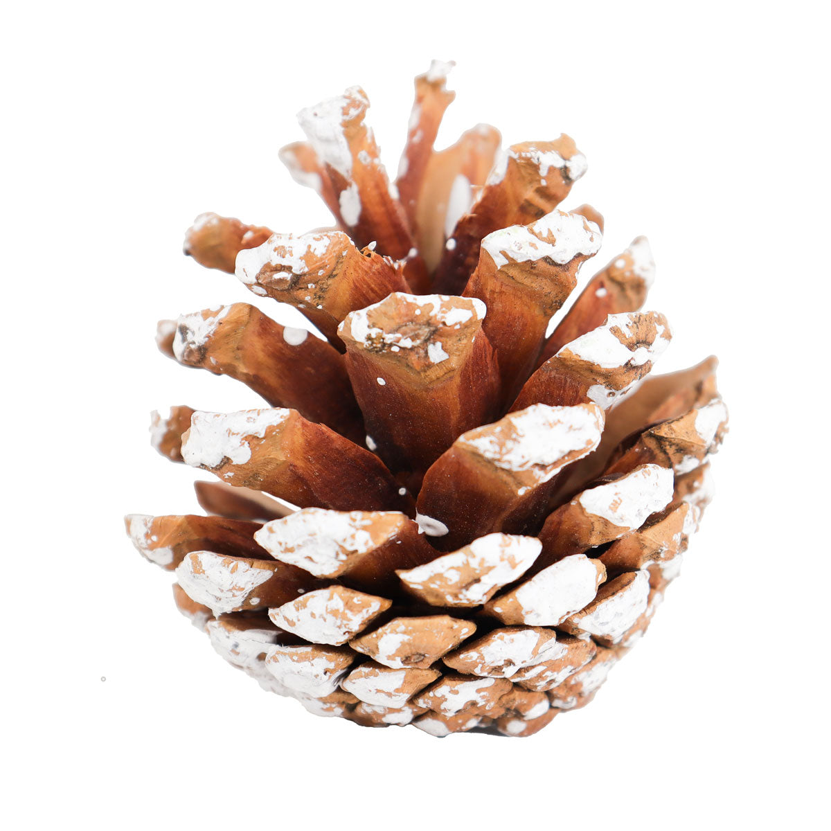Piñas Decorativas Navideñas Nevadas