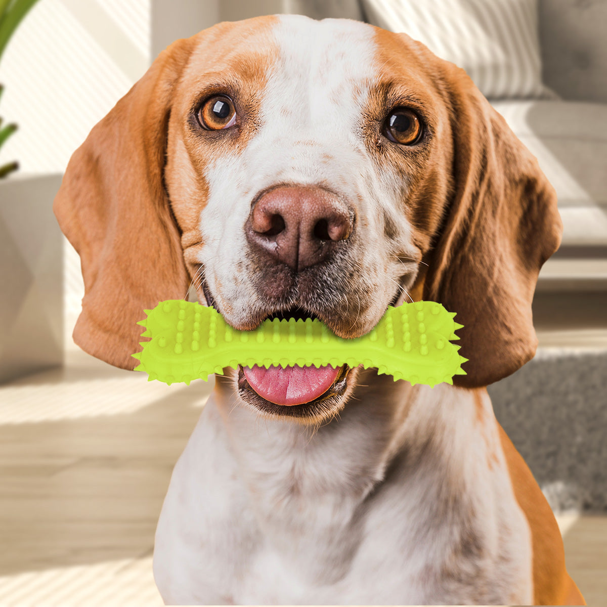 Juguete Masticable en Forma de Hueso color Verde para Mascota