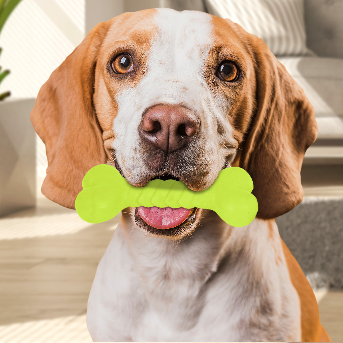 Juguete Masticable en Forma de Hueso para Mascota, color Verde