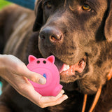 Juguete en Forma de Cerdito color Rosa para Mascota