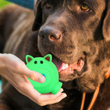 Juguete en Forma de Cerdito color Verde para Mascota