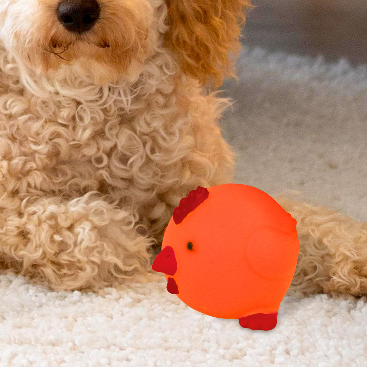 Juguete en Forma de Pollo color Naranja para Mascota