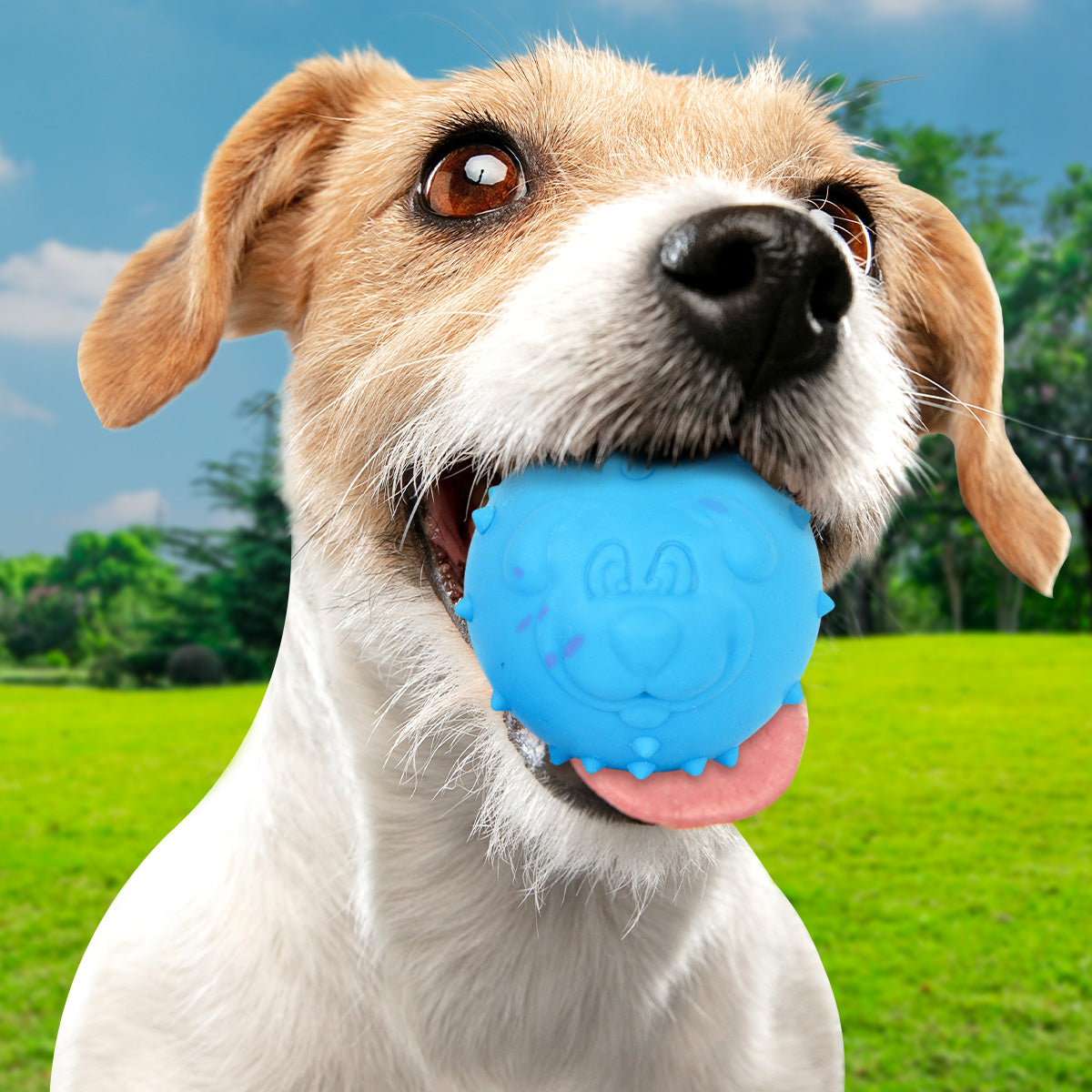 Pelota color Azul para Mascota