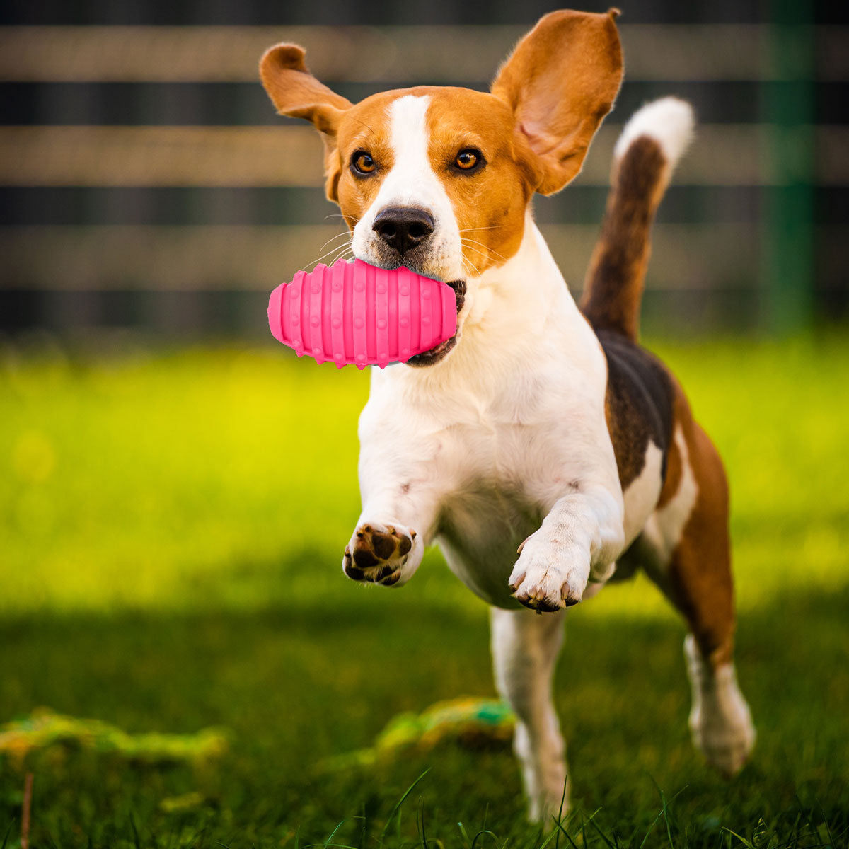 Juguete con Dispensador de Premios para Mascota, color Rosa