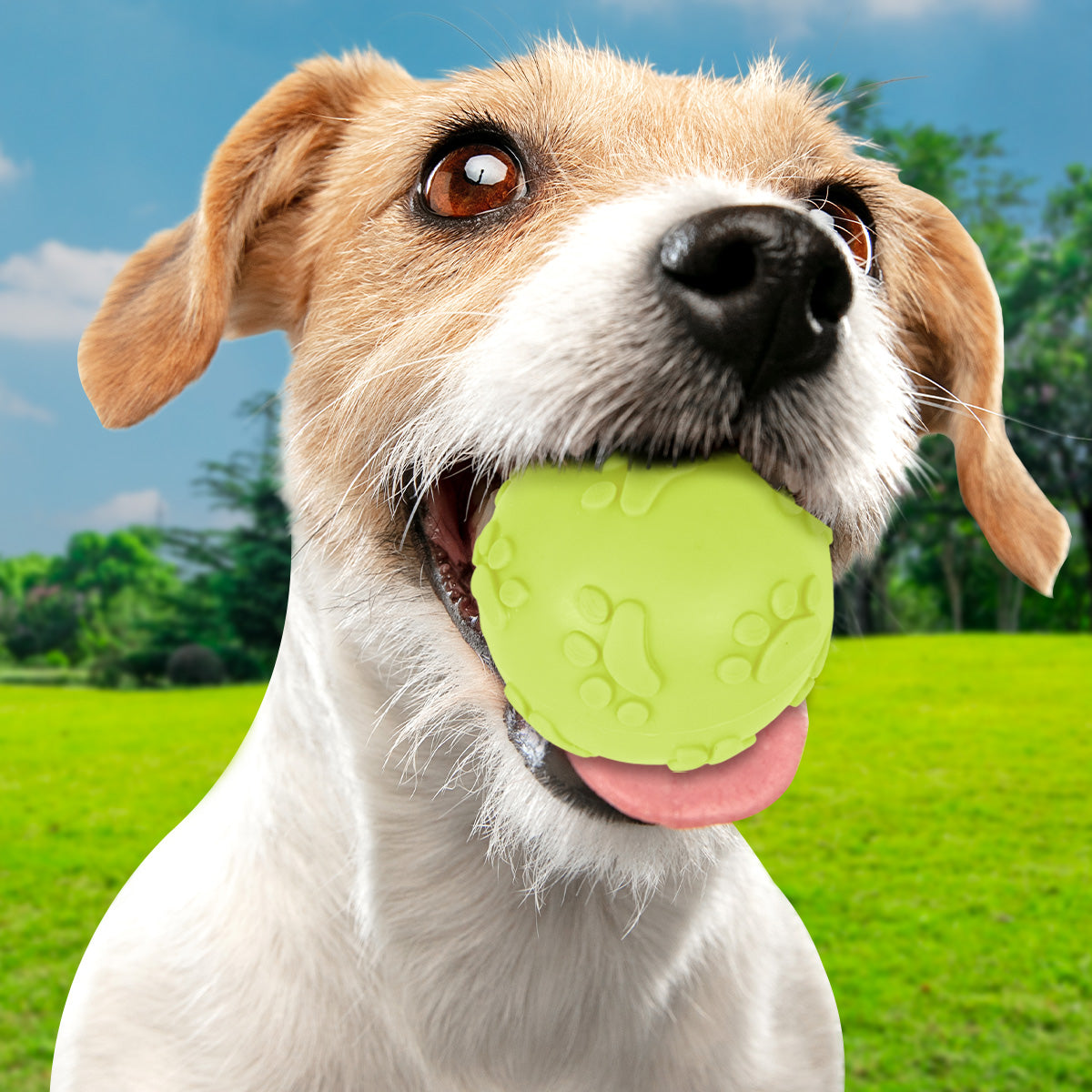 Pelota color Verde con Diseño de Huellitas para Mascota