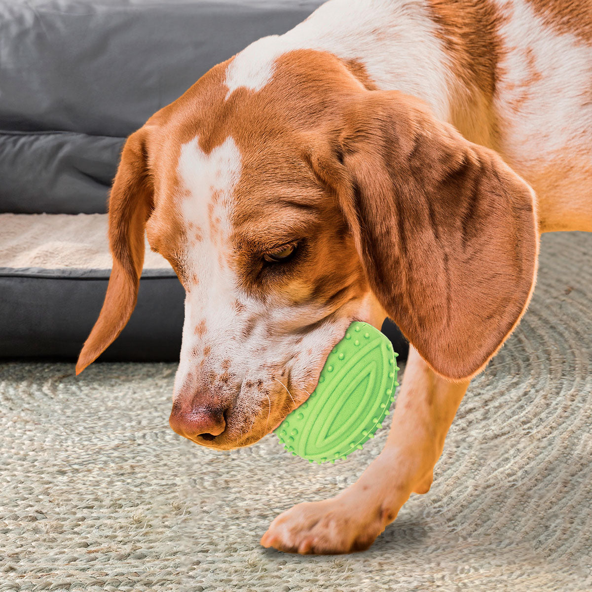 Juguete con Dispensador de Premios para Mascota, color Verde