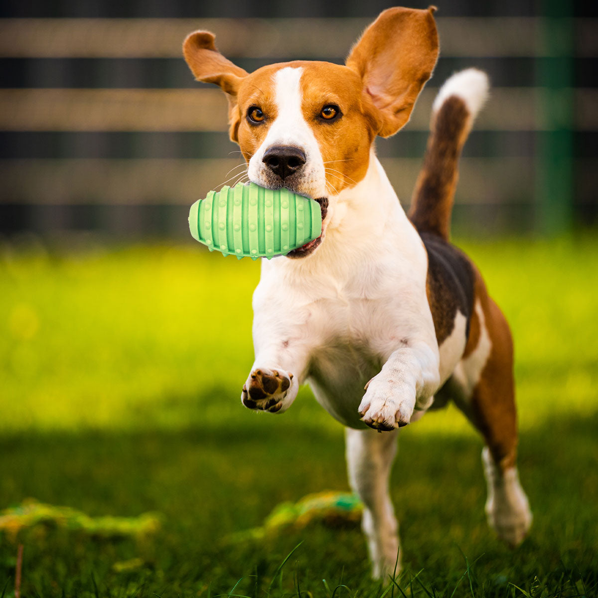 Juguete con Dispensador de Premios para Mascota, color Verde Limón