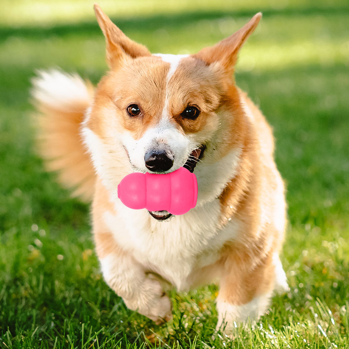 Juguete con Dispensador de Bocadillos para Mascota, color Fucsia