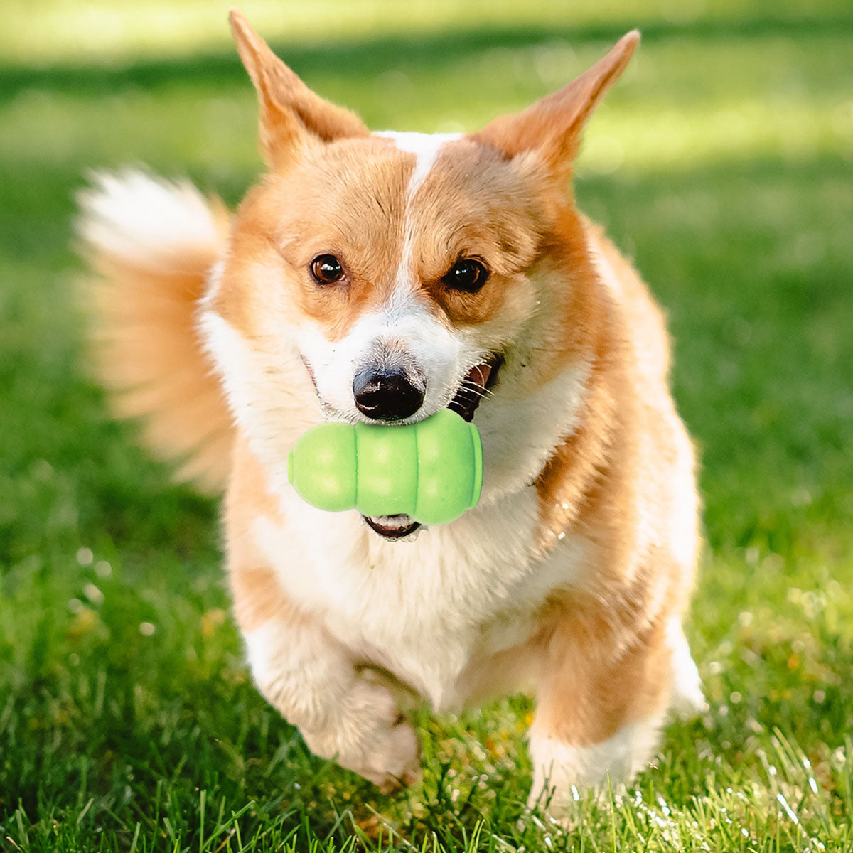 Juguete con Dispensador de Bocadillos para Mascota, color Verde