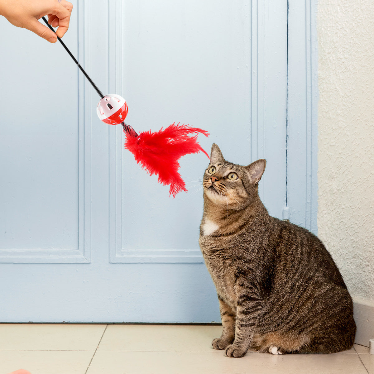 Varita Interactiva color Rojo para Gato, Amazin Pets