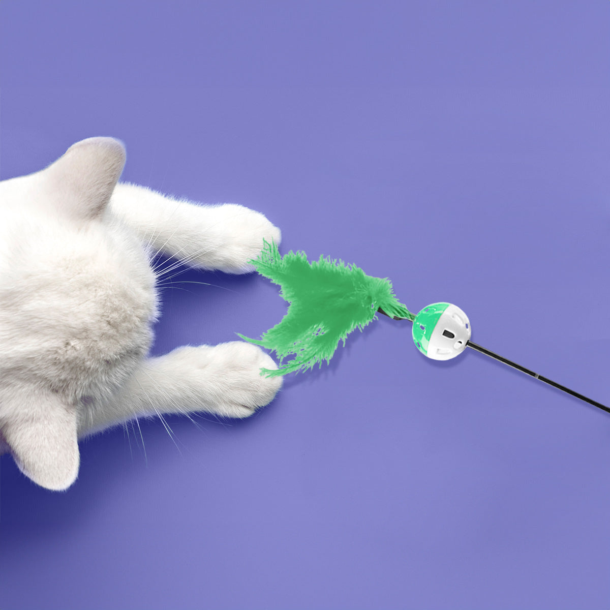 Varita Interactiva color Verde para Gato, Amazin Pets