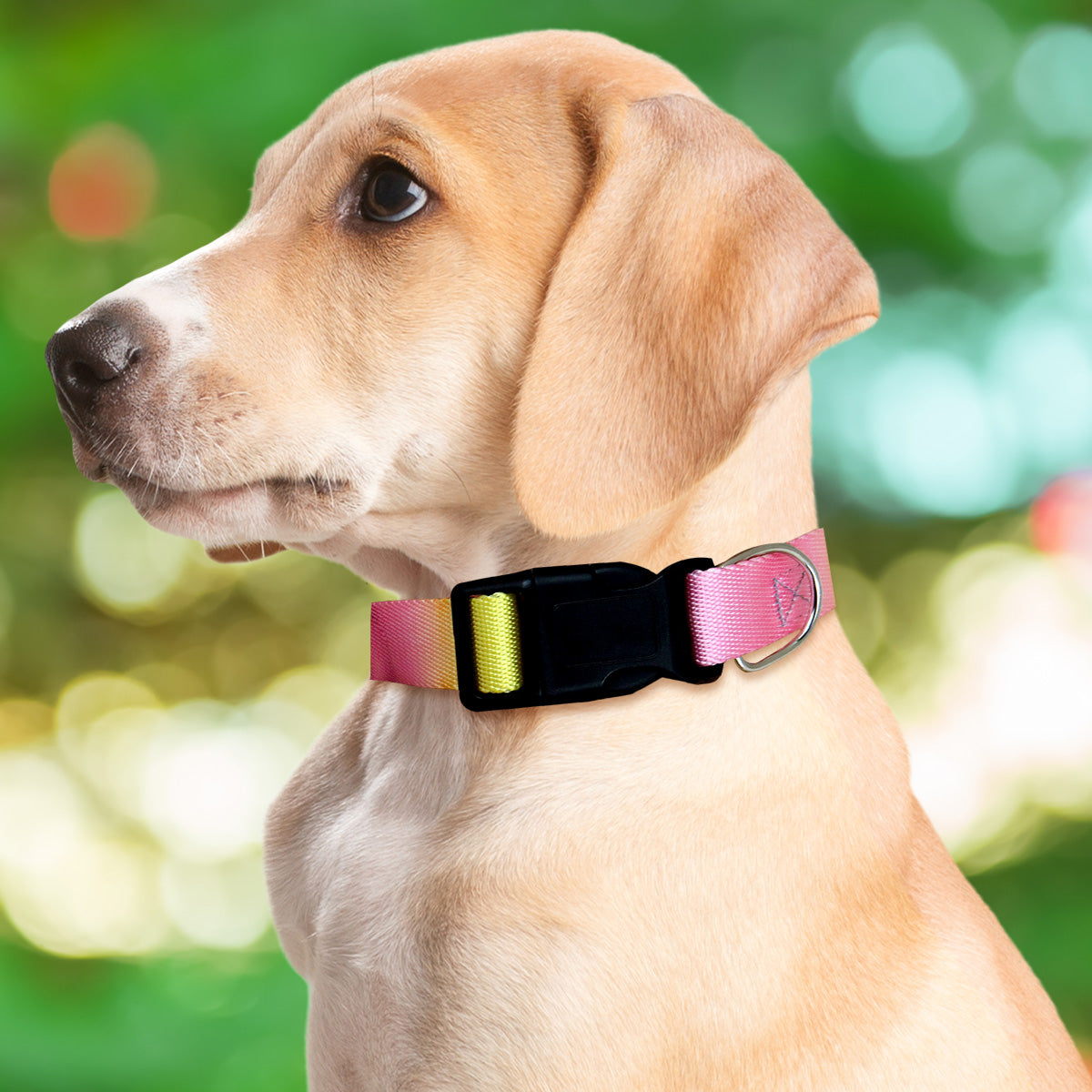 Collar con Diseño Ajustable color Rosa para Mascota