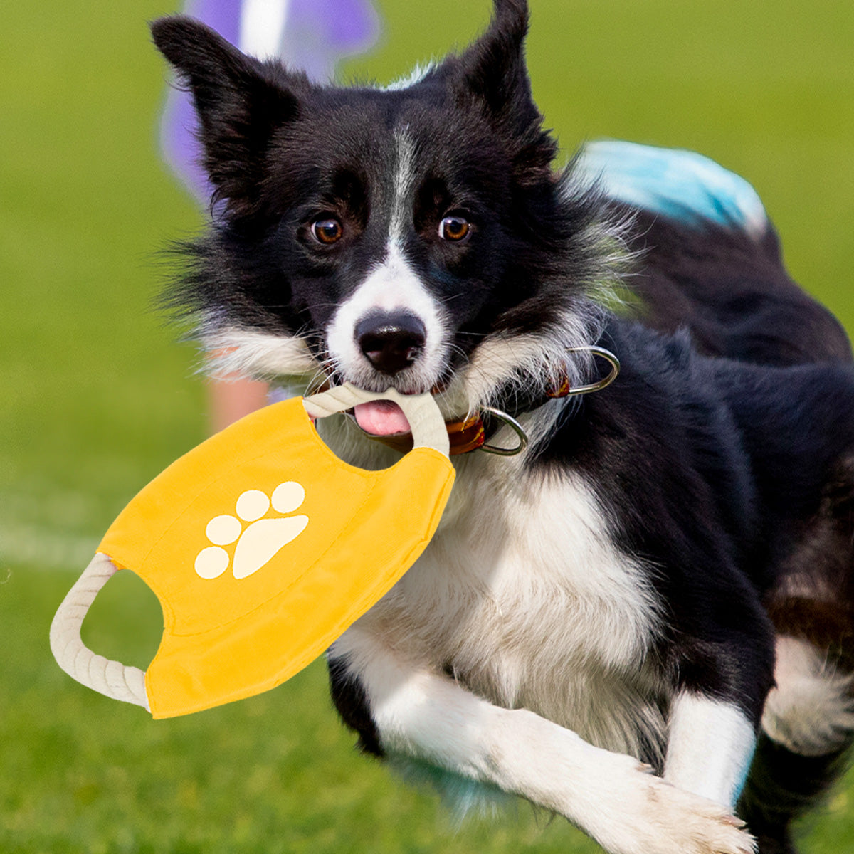 Frisbee de Cuerda para Perro, color Amarillo