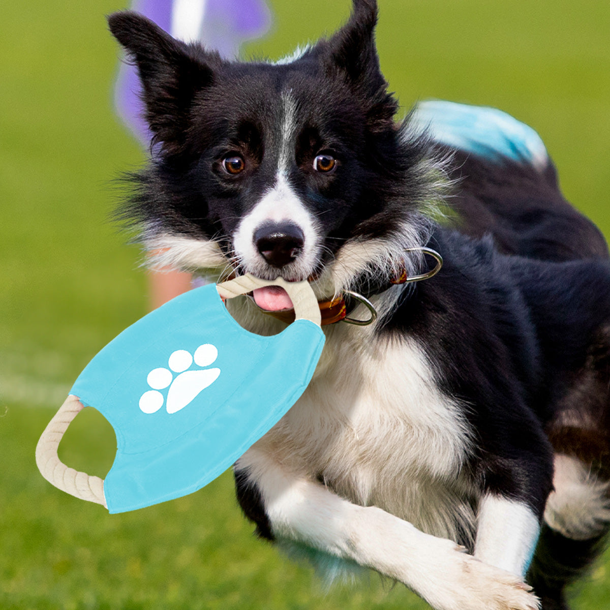 Frisbee de Cuerda para Perro, color Azul