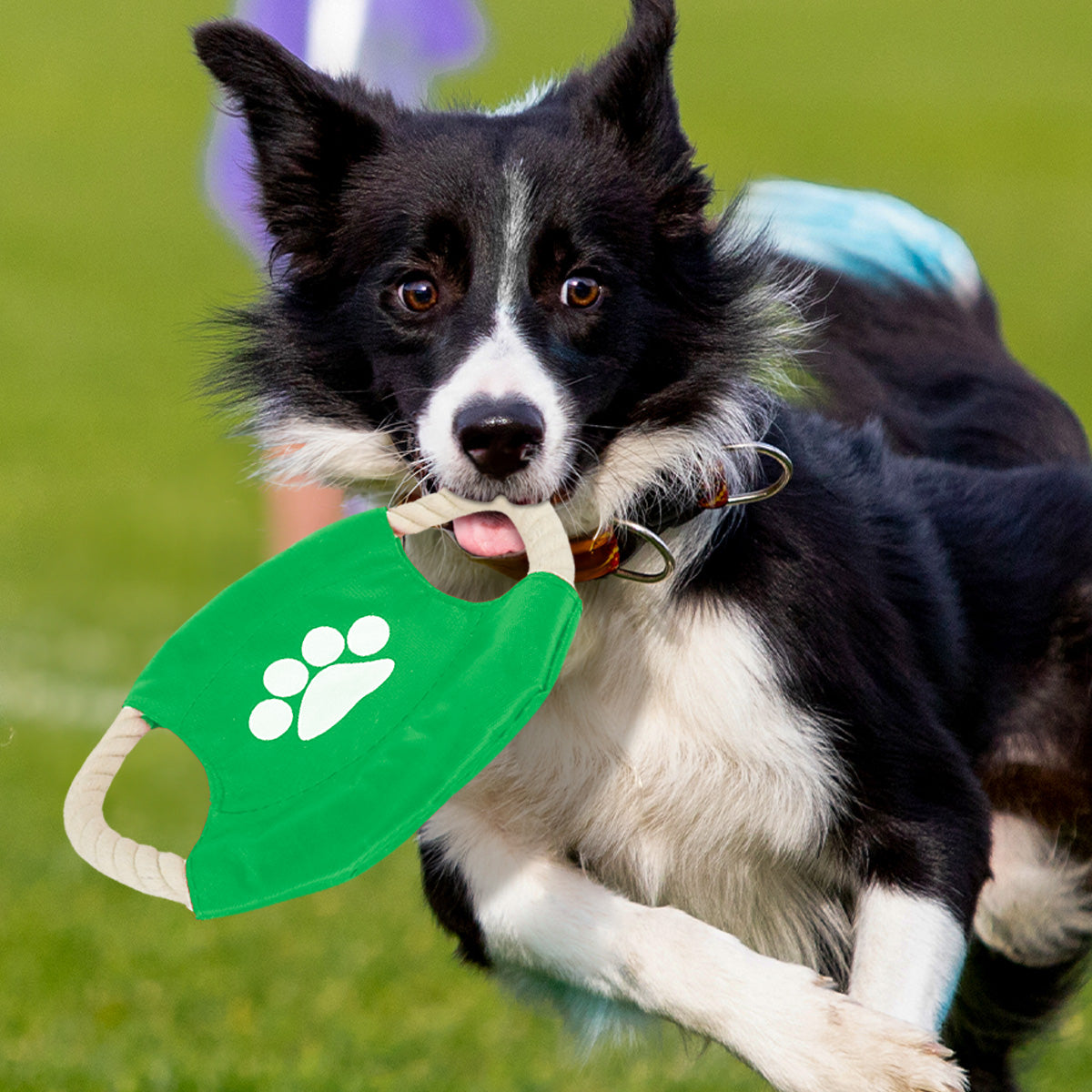 Frisbee de Cuerda para Perro, color Verde