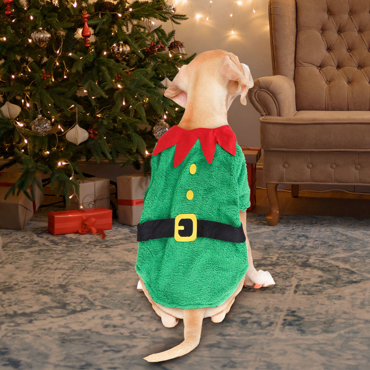 Suéter de Duende Navideño para Perro