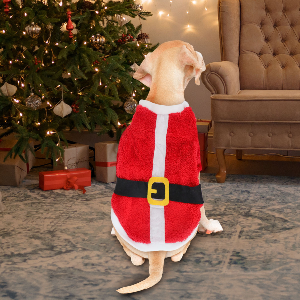 Suéter de Santa Claus para Perro