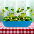 Product image thumbnail 1