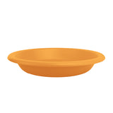 Plato Sopero de Plástico