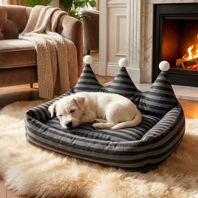 Cama para Mascota en Forma de Corona, Rayas