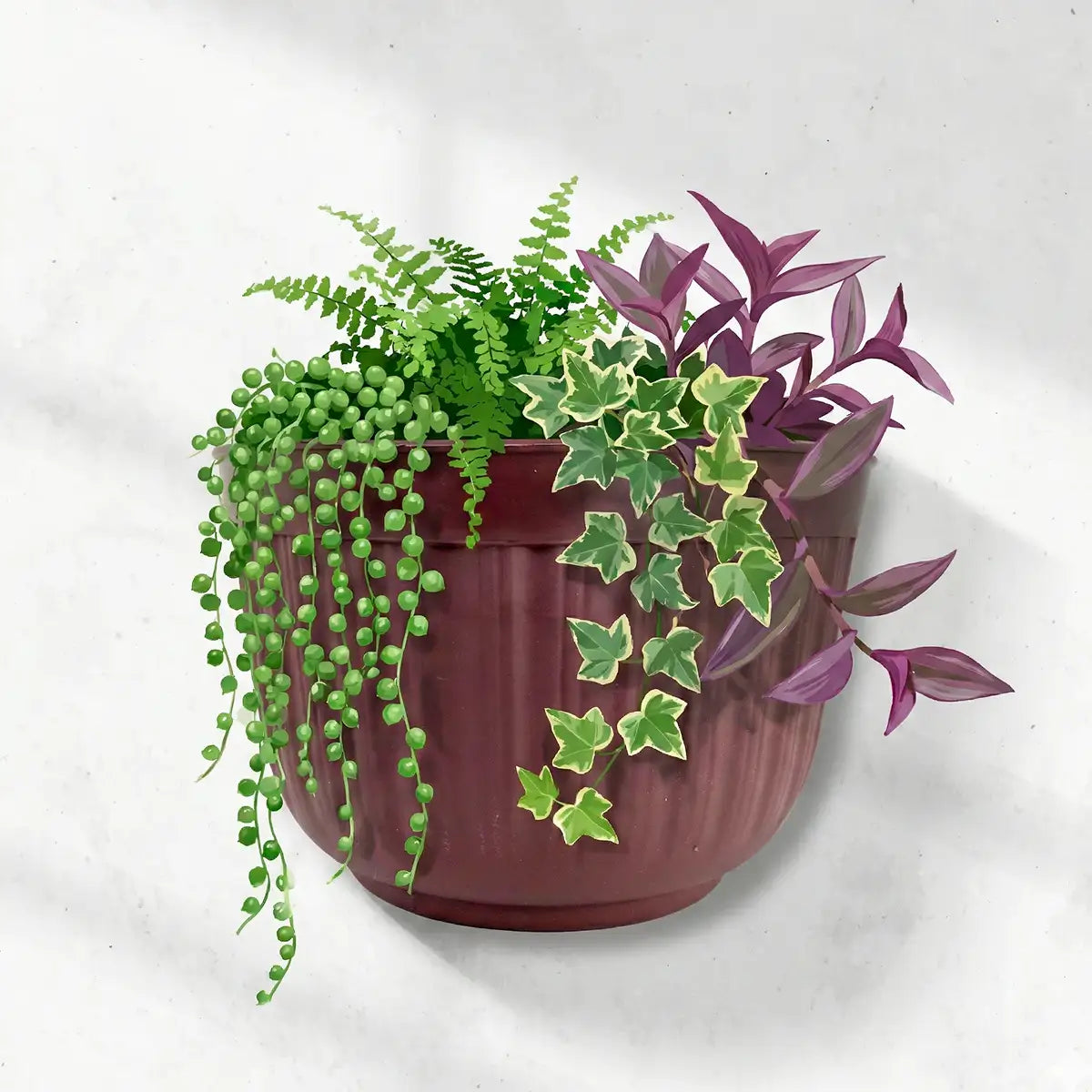 Maceta de Plástico para Pared, Color Café