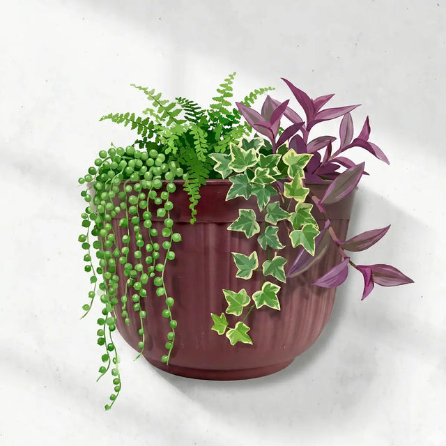 Maceta de Plástico para Pared, Color Café