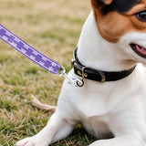 Correa Básica para Mascota, Color Morado