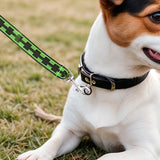 Correa Básica para Mascota, Color Verde