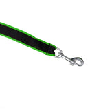 Correa Básica para Mascota, Color Verde y Negro