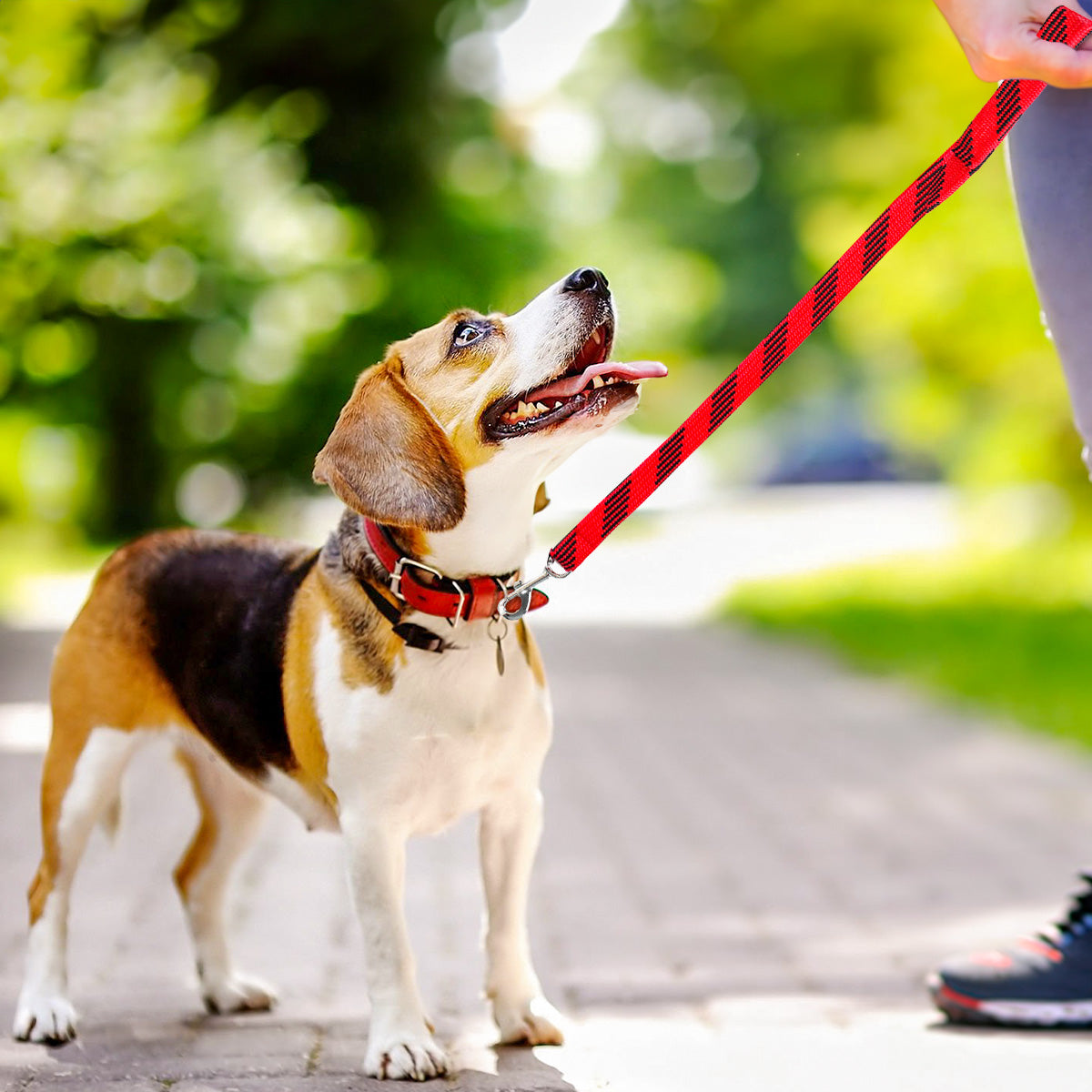 Correa Doble Tejido para Mascota, Color Rojo con Negro