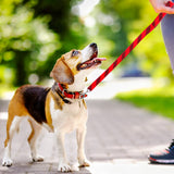 Correa Doble Tejido para Mascota, Color Rojo con Negro