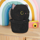 Gatito color Negro de Peluche