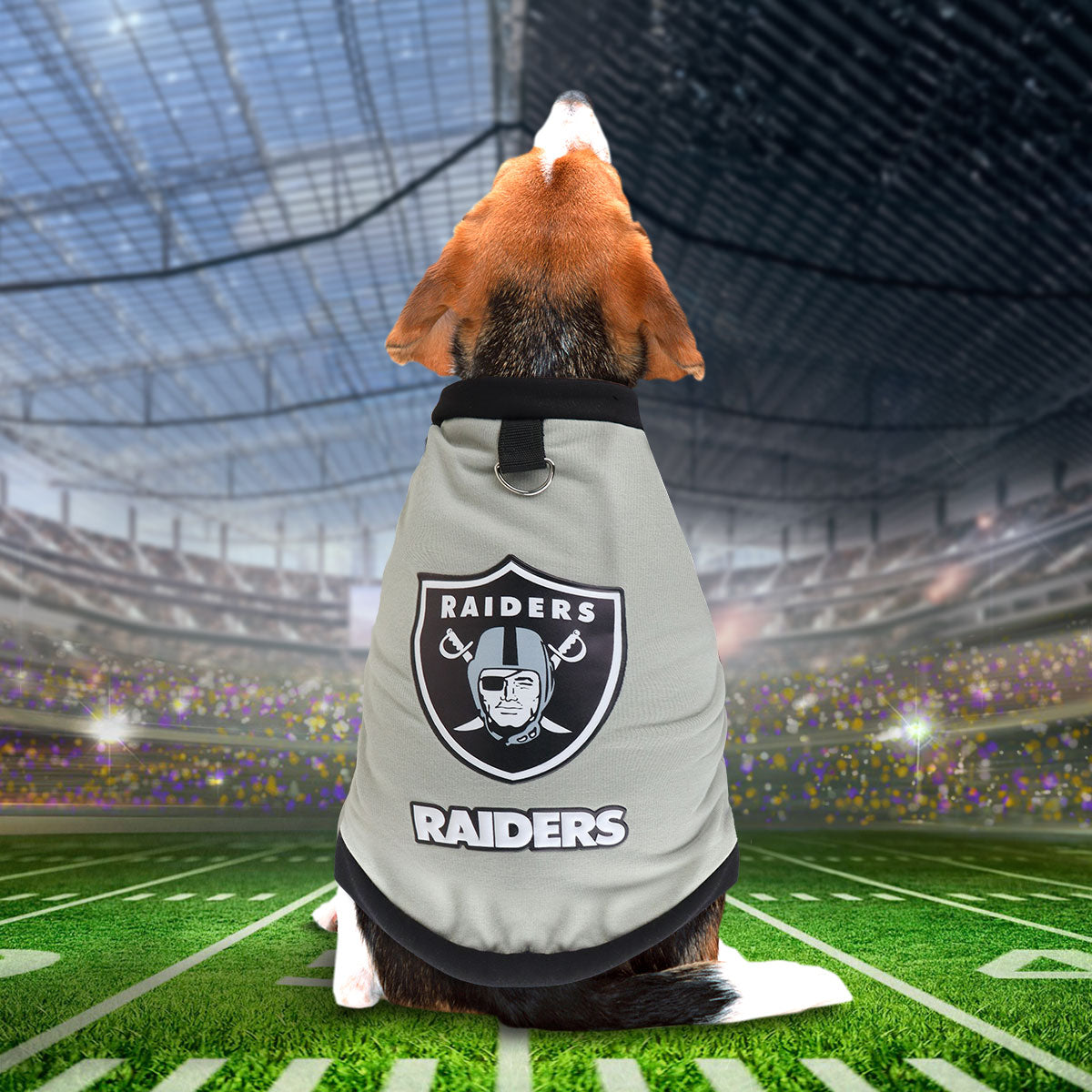 Sudadera de los Raiders para Perro